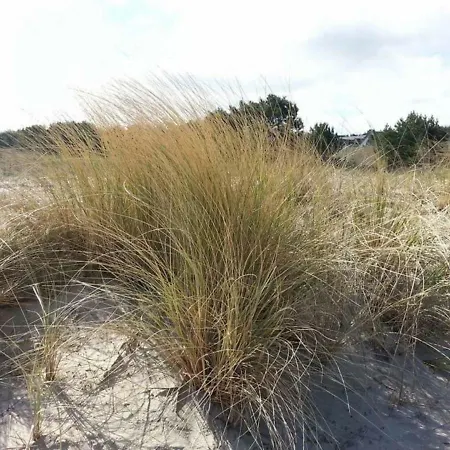 Ferienwohnung Stranddune 18 Und 19-am Strand